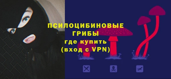 сатива Армянск