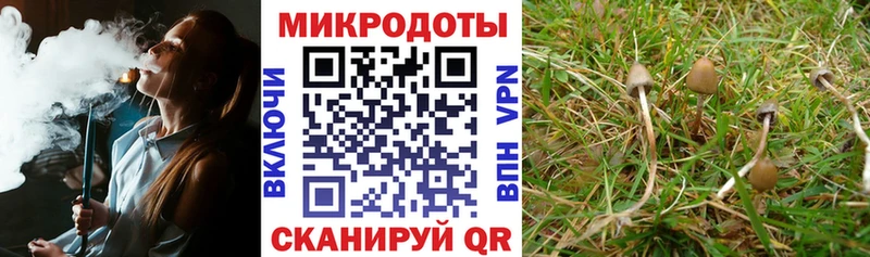 магазин продажи наркотиков  Мураши  Псилоцибиновые грибы Cubensis 