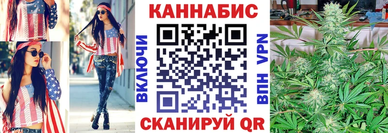 где продают наркотики  Мураши  Каннабис индика 